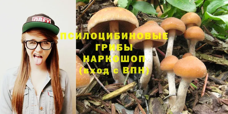 Псилоцибиновые грибы MAGIC MUSHROOMS  купить   блэк спрут ссылки  Санкт-Петербург 